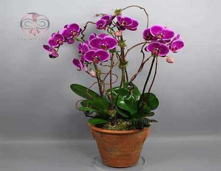 product 9